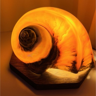 夜光貝のランプ(その他)