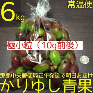 【極小粒（10g前後）】沖縄県産　摘果マンゴー/青マンゴー約６kg【常温便】①