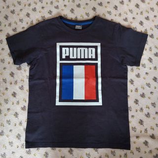 PUMA - 150　プーマ　半袖Tシャツ　ネイビー　綿