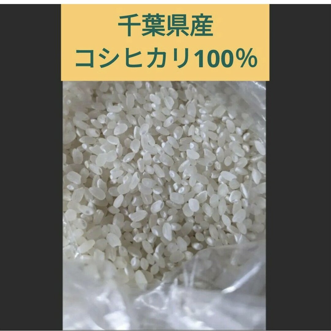 千葉県産コシヒカリ　1.8キロ 食品/飲料/酒の食品(米/穀物)の商品写真
