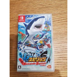 ニンテンドウ(任天堂)の釣りスピリッツ　NintendoSwitchバージョン(家庭用ゲームソフト)