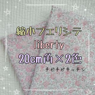 リバティ(LIBERTY.)の☆縮小フェリシテ リバティliberty 生地 ハンドメイド はぎれ☆(生地/糸)