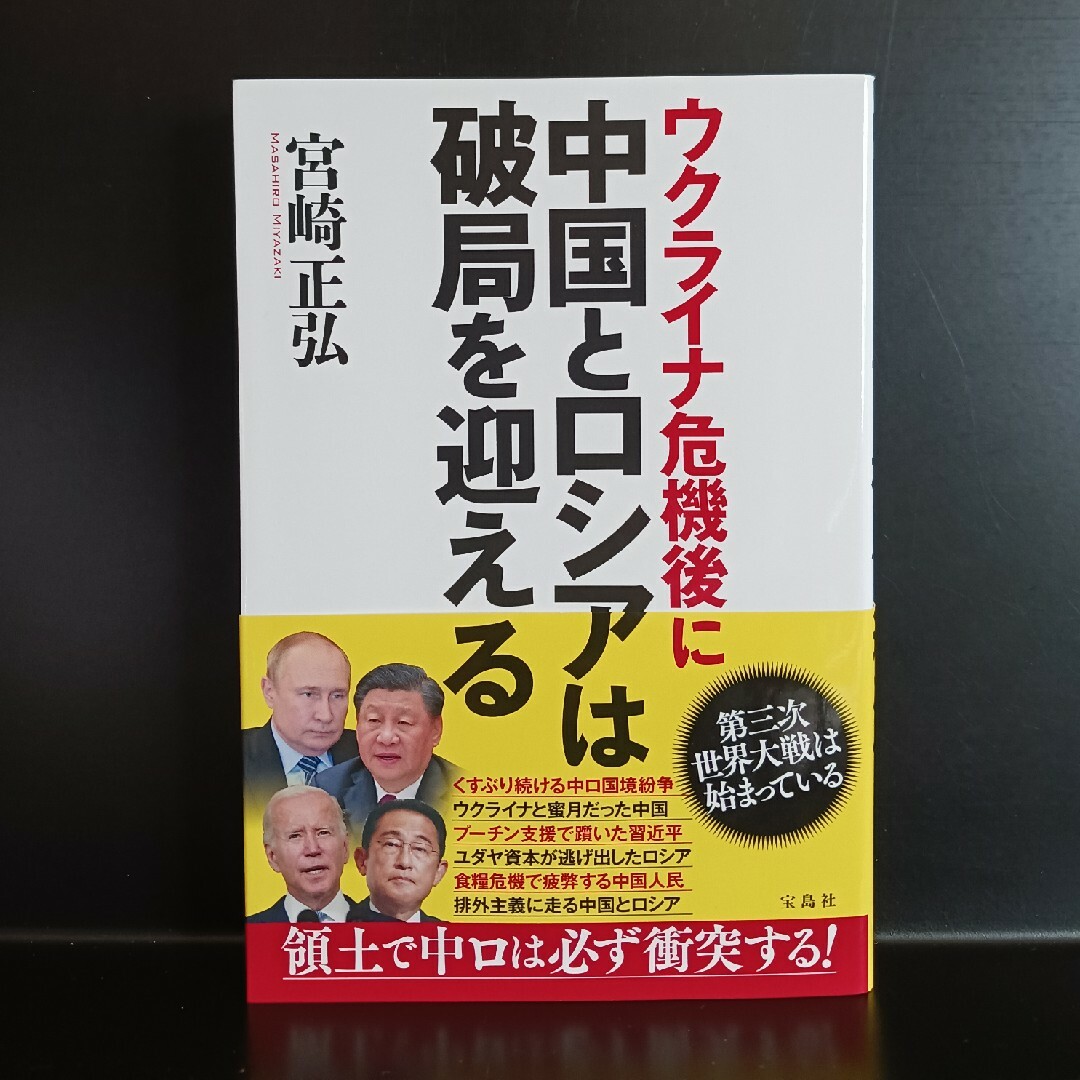 ウクライナ危機後に中国とロシアは破局を迎える エンタメ/ホビーの本(人文/社会)の商品写真