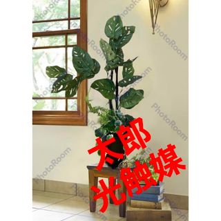 光触媒　人工観葉植物　ウォールグリーン　フェイクグリーン　ツルモンステラ@(その他)