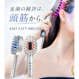 新品未使用 未開封 NIPLUX NP-ELB23SV(ヘアブラシ/クシ)