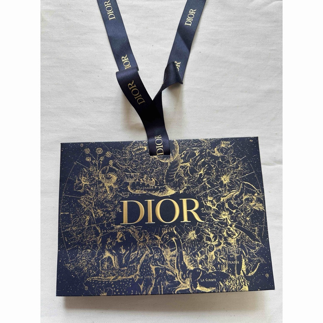 Dior(ディオール)のDIOR紙袋 レディースのバッグ(ショップ袋)の商品写真