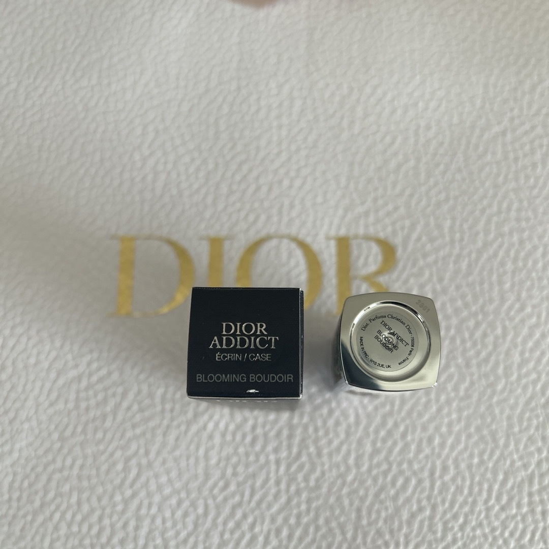 Dior(ディオール)のDIOR コスメ/美容のベースメイク/化粧品(口紅)の商品写真