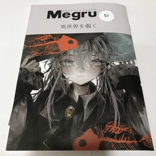 Megru アートフリーペーパー(コミック用品)