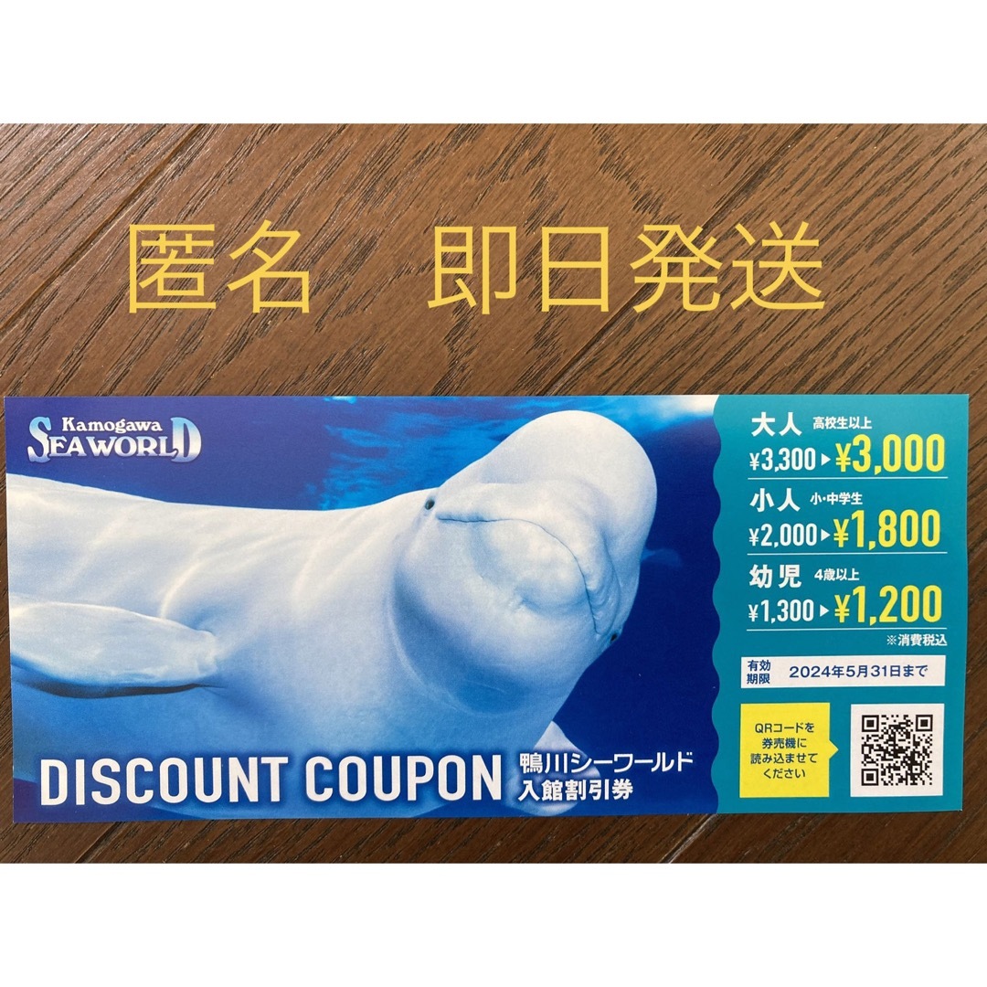 鴨川シーワールド　入館割引券　チケット　匿名 チケットの施設利用券(水族館)の商品写真