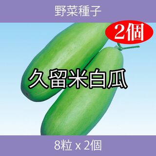 野菜種子 EBF 久留米白瓜 8粒 x 2個(野菜)