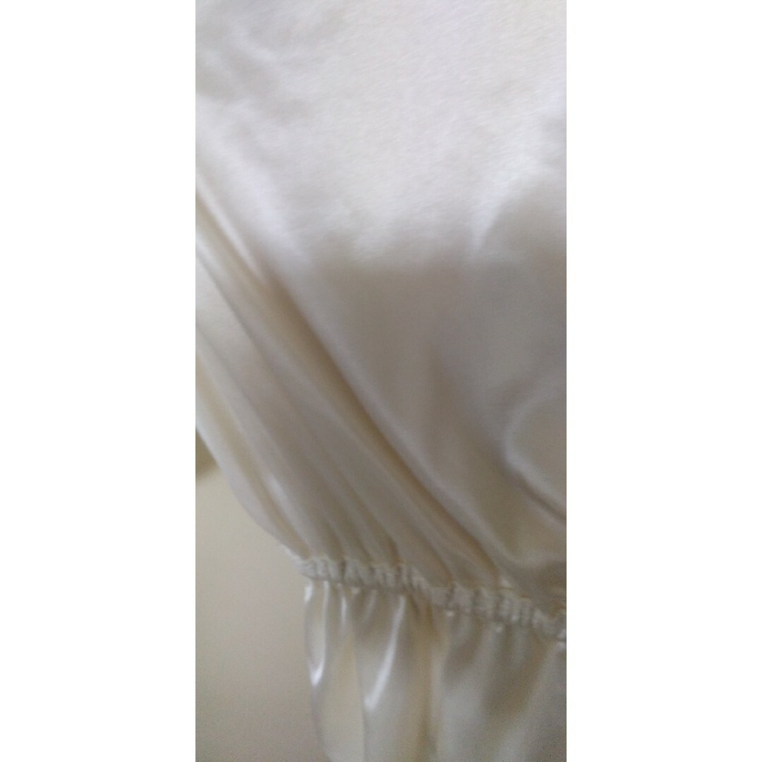 ROJITA(ロジータ)の春夏　トップス　シースルー　ホワイト　白 レディースのトップス(シャツ/ブラウス(半袖/袖なし))の商品写真