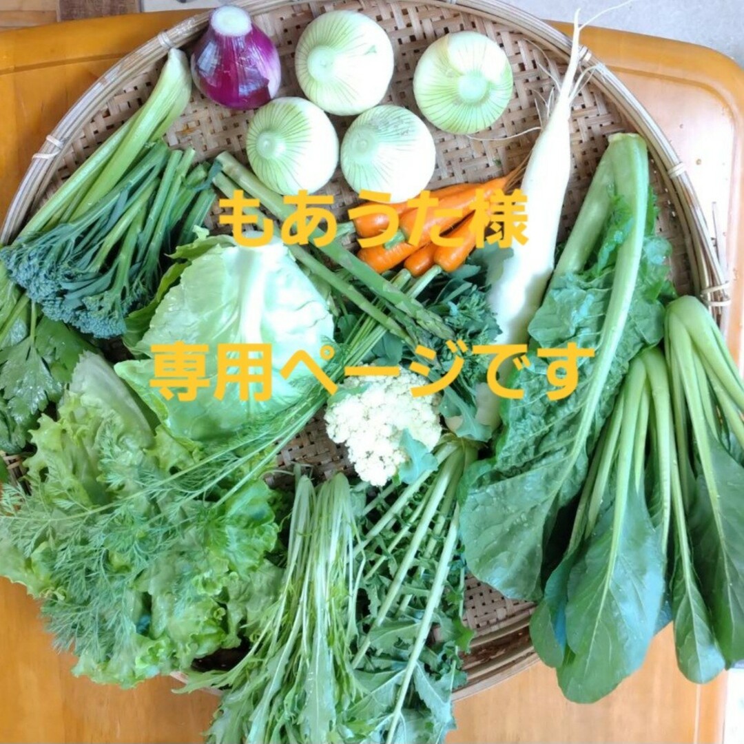 もあうた様専用ページです 食品/飲料/酒の食品(野菜)の商品写真