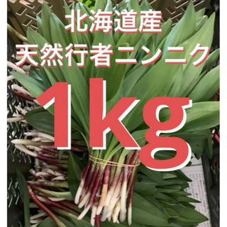 北海道産　天然行者ニンニク1kg