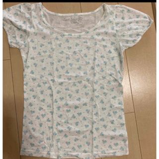 半袖Tシャツ(Tシャツ(半袖/袖なし))