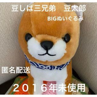 豆しば三兄弟　豆太郎　BIGぬいぐるみ　送料無料(キャラクターグッズ)