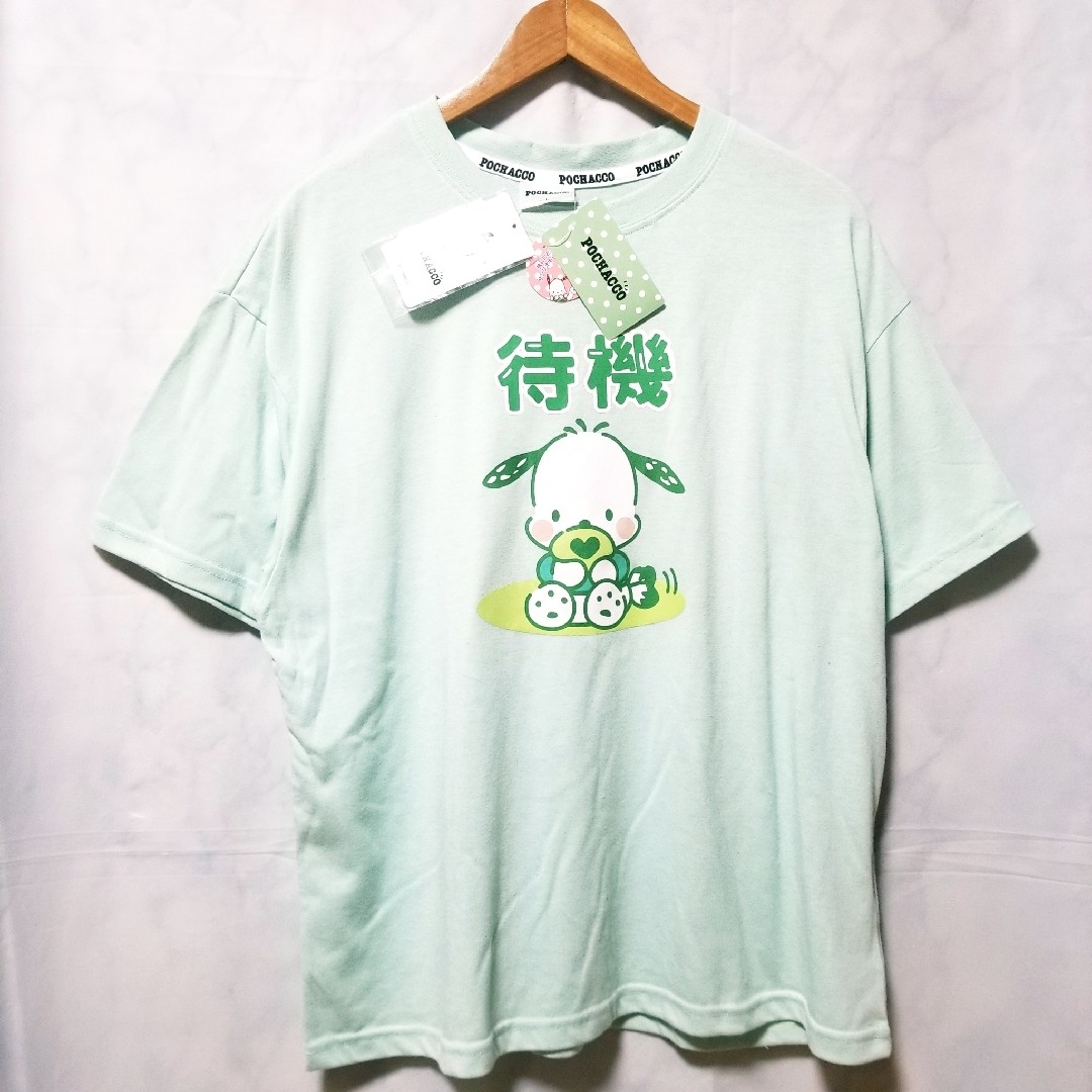 サンリオ(サンリオ)の新品　サンリオ　Tシャツ　ポチャッコ　レディース　ぽちゃっこ推しスタンプHT　緑 レディースのトップス(Tシャツ(半袖/袖なし))の商品写真