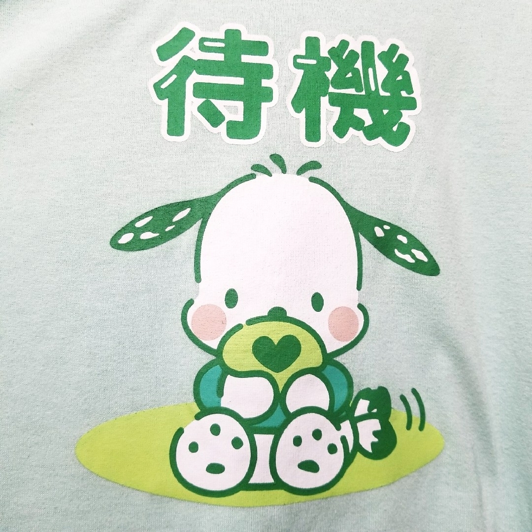 サンリオ(サンリオ)の新品　サンリオ　Tシャツ　ポチャッコ　レディース　ぽちゃっこ推しスタンプHT　緑 レディースのトップス(Tシャツ(半袖/袖なし))の商品写真