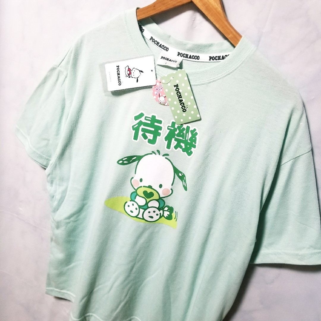 サンリオ(サンリオ)の新品　サンリオ　Tシャツ　ポチャッコ　レディース　ぽちゃっこ推しスタンプHT　緑 レディースのトップス(Tシャツ(半袖/袖なし))の商品写真