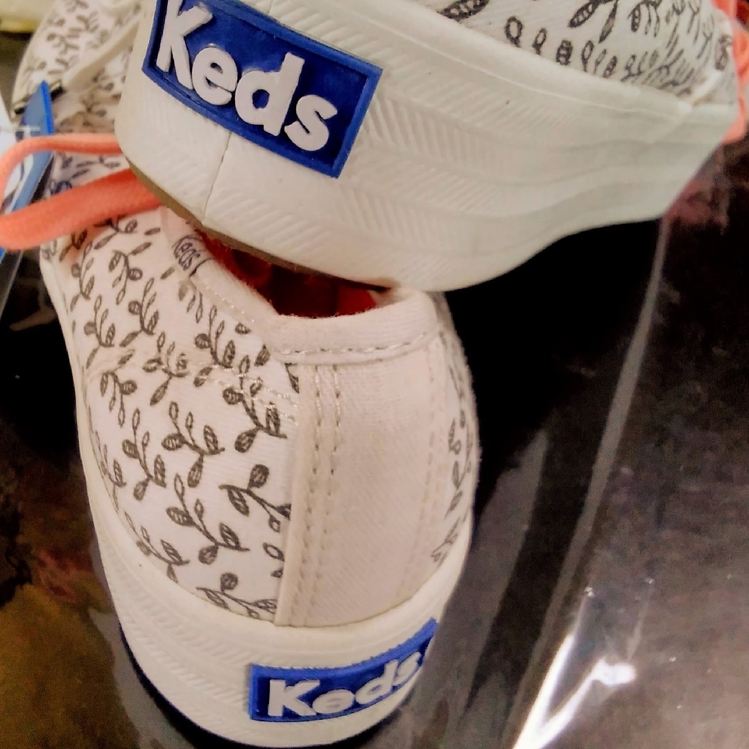 Keds(ケッズ)のケッズ　スニーカー レディースの靴/シューズ(スニーカー)の商品写真