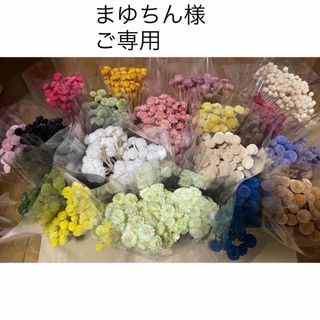 【大量処分品】ドライフラワー　イモーテル他(ドライフラワー)