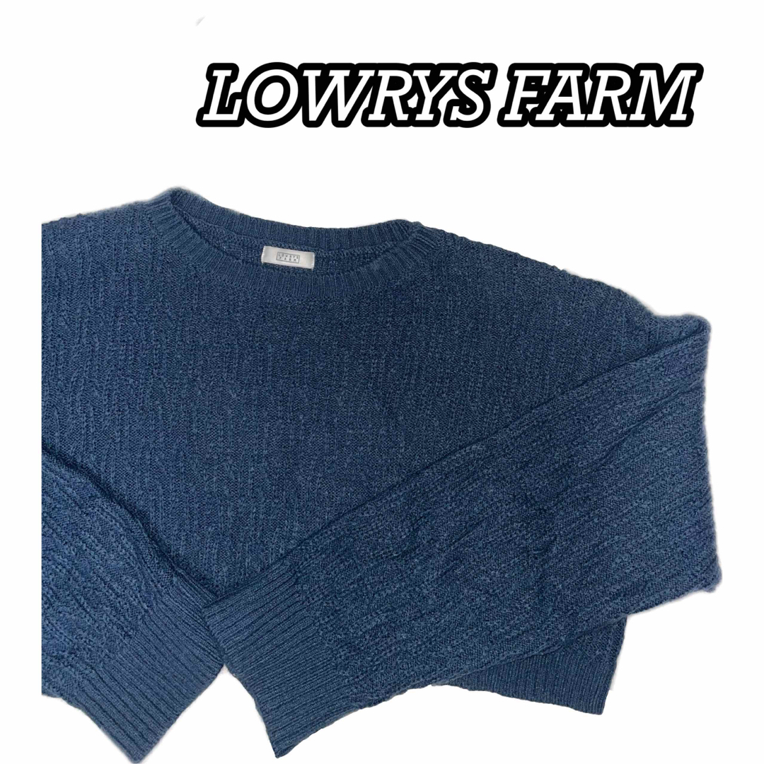 LOWRYS FARM(ローリーズファーム)の【美品】LOWRYS FARM ニット レディースのトップス(ニット/セーター)の商品写真