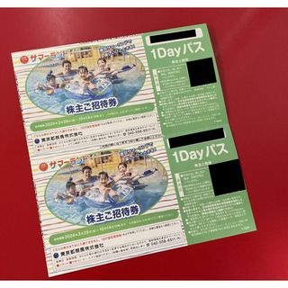 東京サマーランド 株主優待券1Dayパス 2枚(遊園地/テーマパーク)