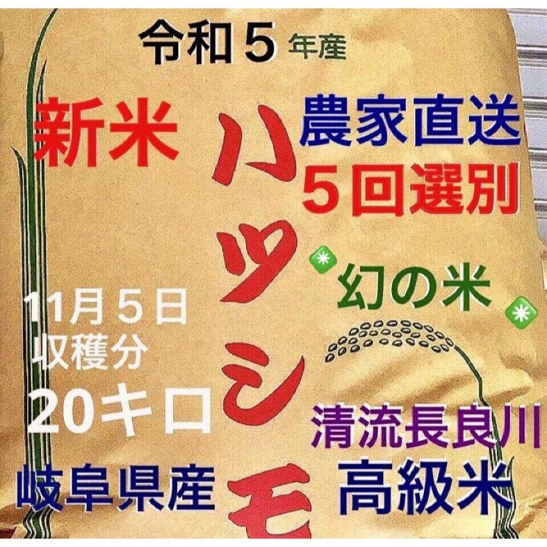 ⭐️グラッシー様専用⭐️R５年産✳️５回選別・有機肥料・無添加ハツシモ20キロ 食品/飲料/酒の食品(米/穀物)の商品写真