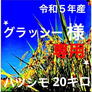 ⭐️グラッシー様専用⭐️R５年産✳️５回選別・有機肥料・無添加ハツシモ20キロ(米/穀物)