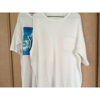 白綿半袖Tシャツ2枚(シャツ)