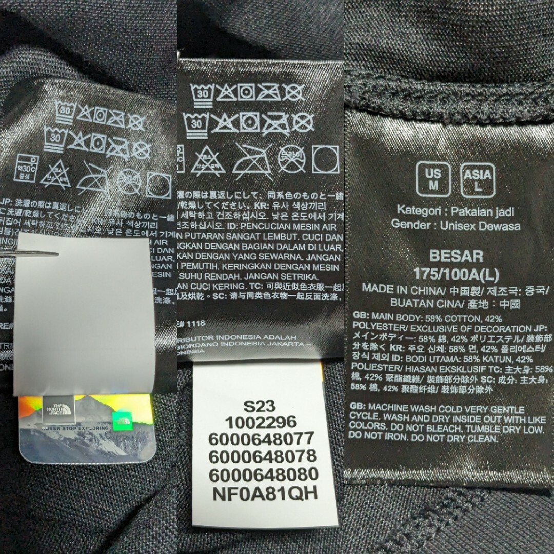 THE NORTH FACE(ザノースフェイス)のノースフェイス CNY ボックスグラフィック ティーシャツ メンズ Asia L メンズのトップス(Tシャツ/カットソー(半袖/袖なし))の商品写真