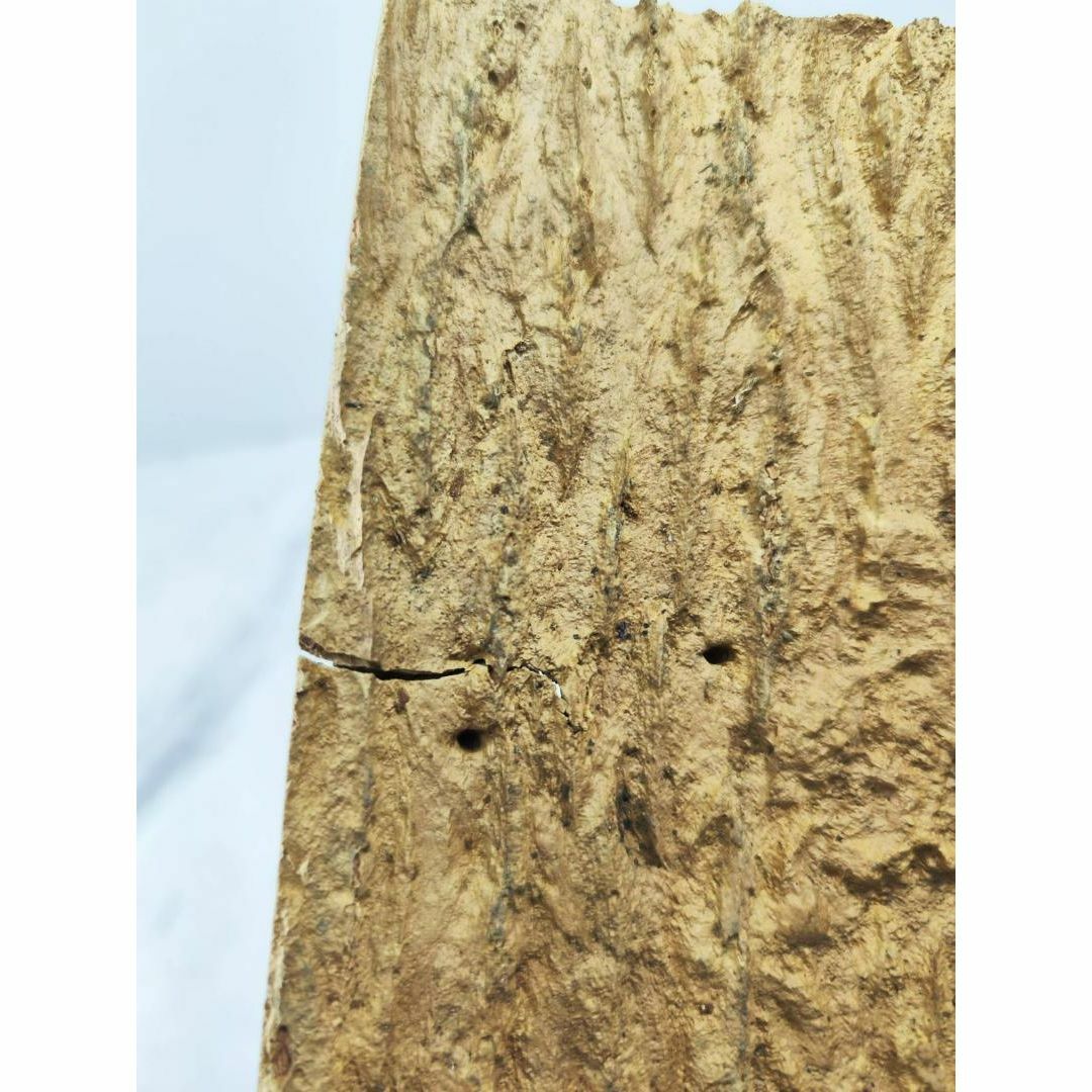 c441【30×40cm】コルク樹皮 コルク板 バージンコルク 送料/穴あけ無料 ハンドメイドのフラワー/ガーデン(その他)の商品写真