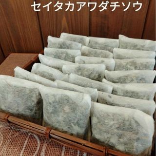 よもぎ蒸し屋のセイタカアワダチソウ入浴剤