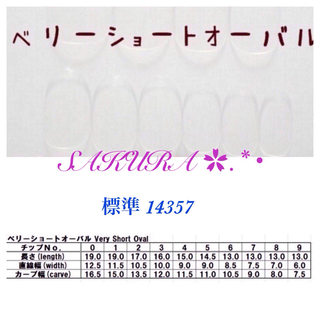 ネイルチップ T58-1 サイズ変更等オーダー100円 コスメ/美容のネイル(つけ爪/ネイルチップ)の商品写真