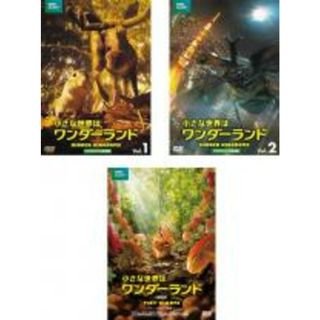 全巻セット【中古】DVD▼小さな世界はワンダーランド(3枚セット)TVオリジナル完全版 全2巻 + 劇場版 レンタル落ち(その他)