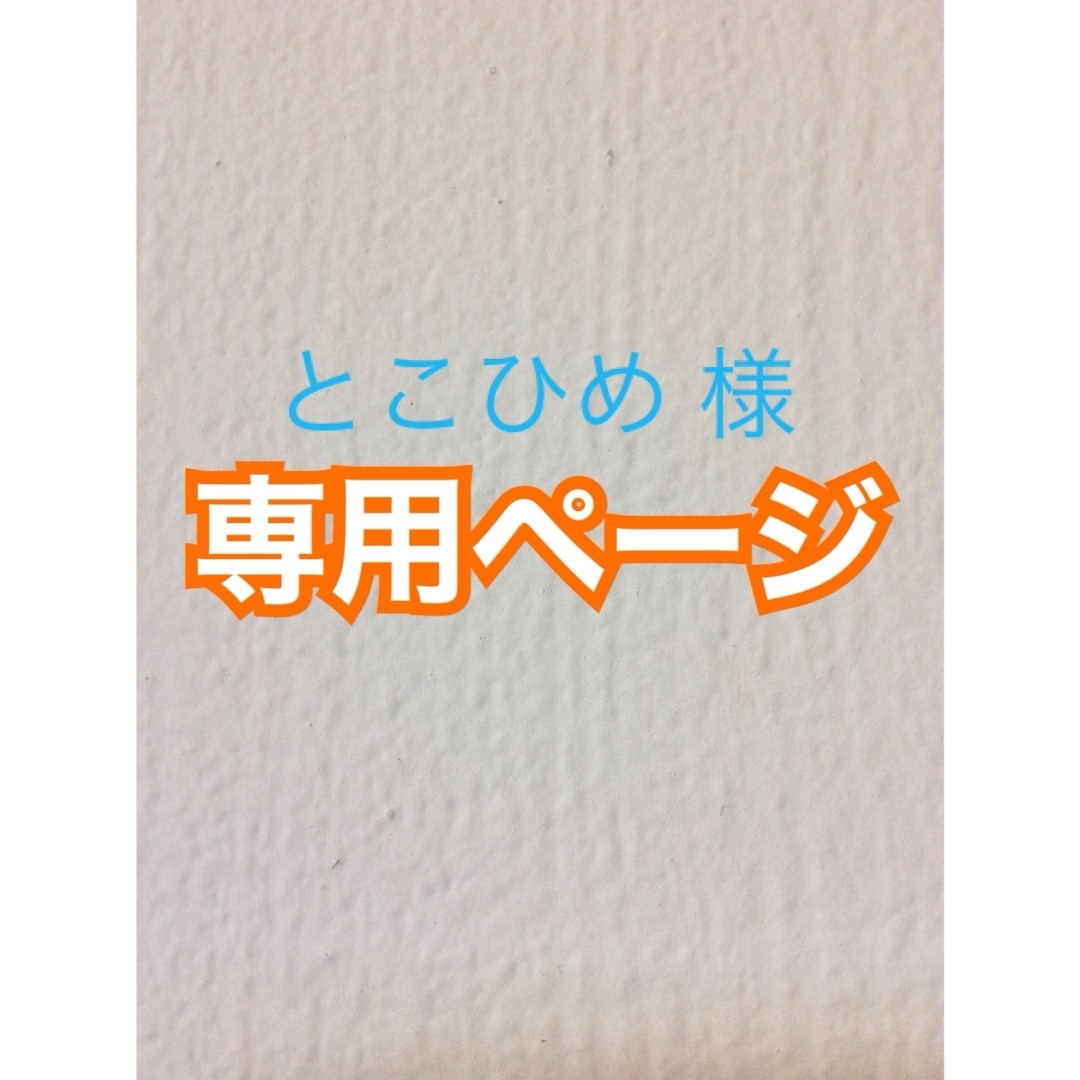 とこひめ 様 専用♦︎アイロンビーズ 合計１０００ピース【普通郵便】 ハンドメイドの素材/材料(各種パーツ)の商品写真