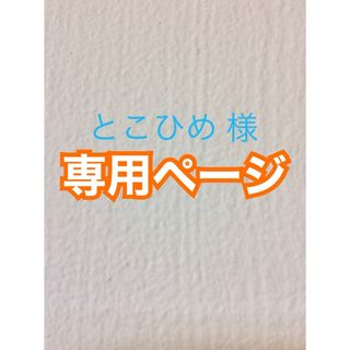 とこひめ 様 専用♦︎アイロンビーズ 合計１０００ピース【普通郵便】(各種パーツ)