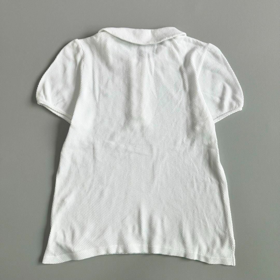 mina perhonen(ミナペルホネン)のmina perhonen ミナペルホネン コットン ポロシャツ 白 38 レディースのトップス(ポロシャツ)の商品写真