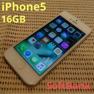 アイフォーン(iPhone)のPDTWF 完動品iPhone5本体16GBホワイトSoftBank判定○(スマートフォン本体)