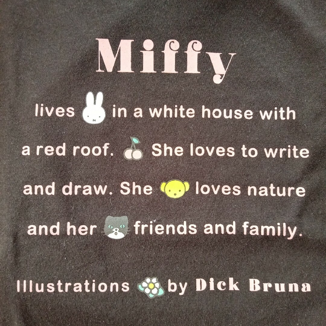 miffy(ミッフィー)の👚miffyのtシャツ。LL、ブラウン系。【新品・2024】 レディースのトップス(Tシャツ(半袖/袖なし))の商品写真