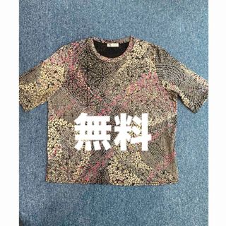 無料　Tシャツ   M〜L(Tシャツ(半袖/袖なし))