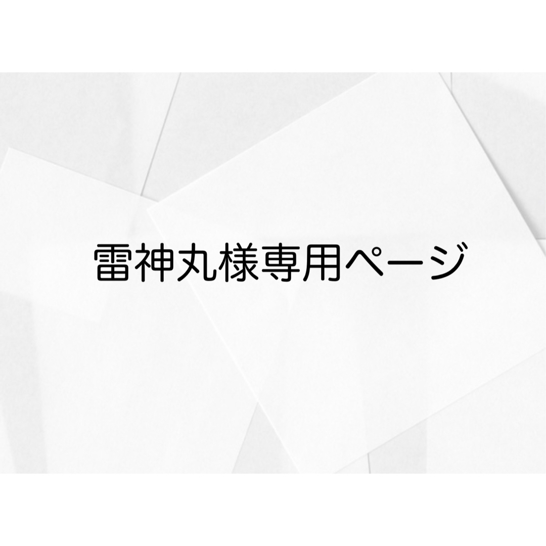 雷神丸様専用ページ その他のその他(その他)の商品写真