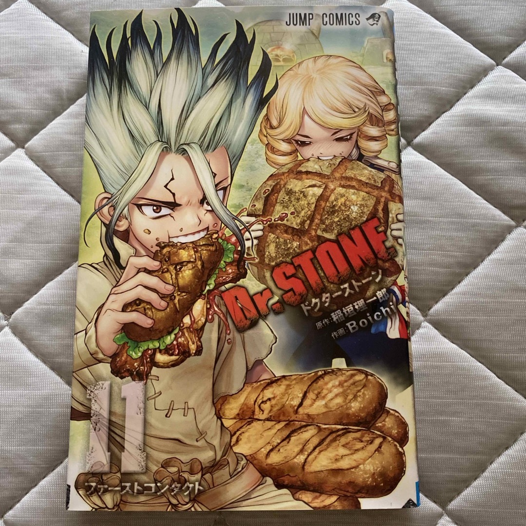 Ｄｒ．ＳＴＯＮＥ エンタメ/ホビーの漫画(その他)の商品写真