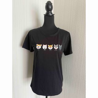 日本犬　Tシャツ ブラック　秋田犬　紀州犬　柴犬　四国犬　甲斐犬　綿混(Tシャツ(半袖/袖なし))