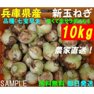 【兵庫県産】新玉ねぎ　10kg　農家直送　早生　サラダ玉葱(野菜)