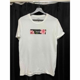 ホリスター(Hollister)のHOLLISTER Tシャツ　ホリスター　送料込み(Tシャツ/カットソー(半袖/袖なし))