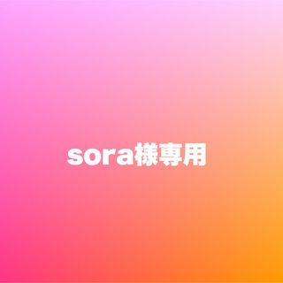 sora様専用(その他)