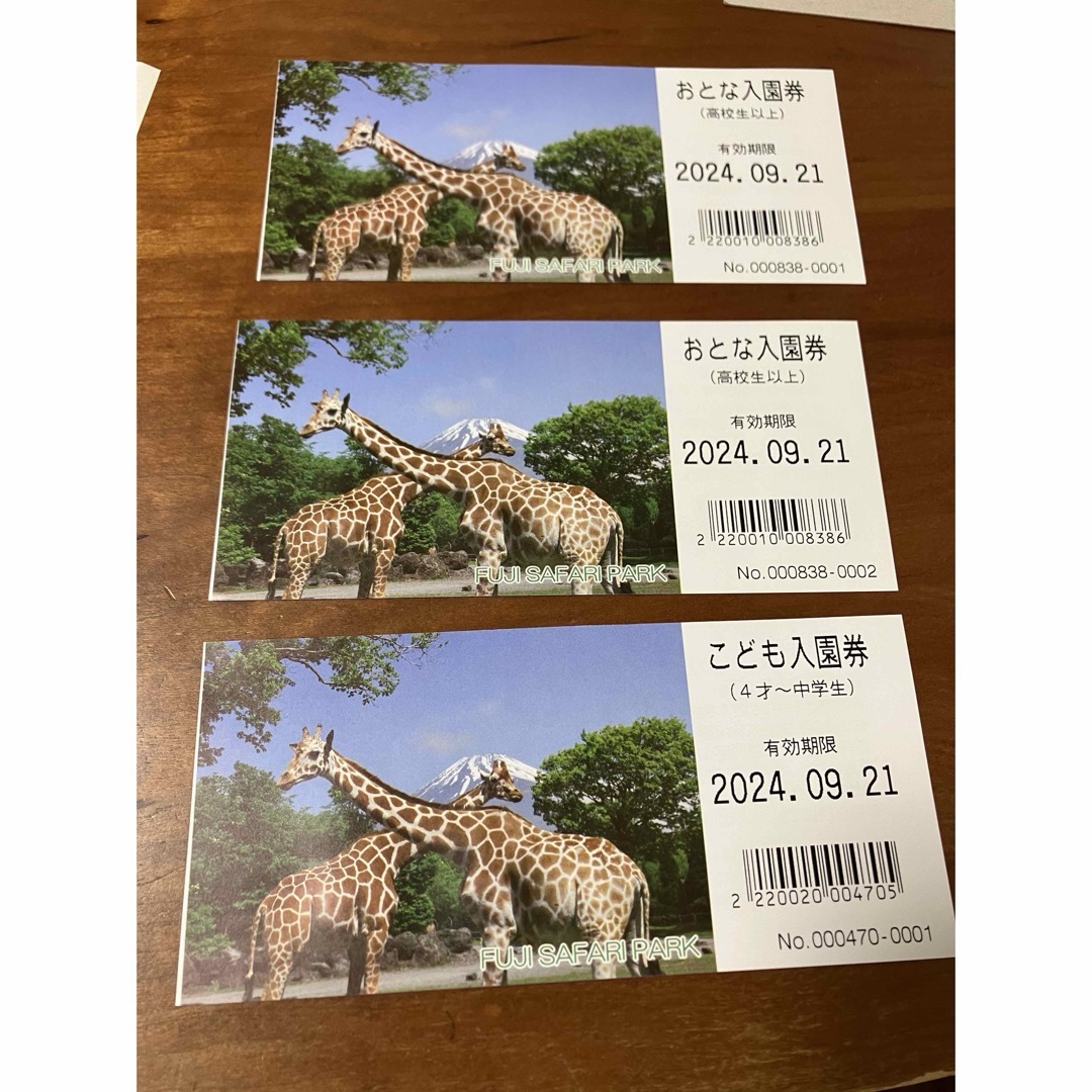 富士サファリパークパーク入園券おとな2枚こども1枚 チケットの施設利用券(動物園)の商品写真