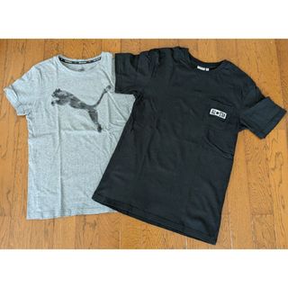 プーマ(PUMA)のTシャツ 160cm 2枚セット(Tシャツ/カットソー)