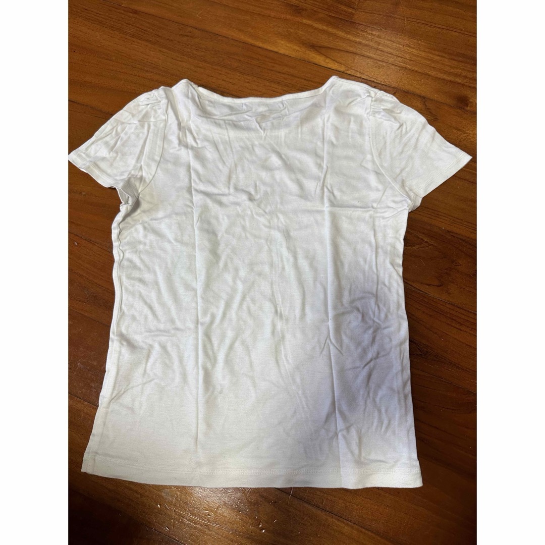 M'S GRACY(エムズグレイシー)のM's GRACY Tシャツ　M レディースのトップス(Tシャツ(半袖/袖なし))の商品写真
