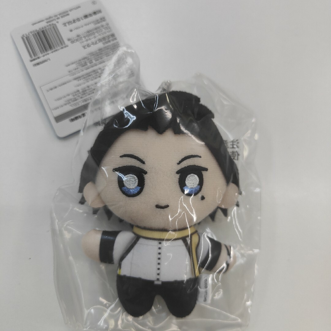 望月綾時ぬいキー エンタメ/ホビーのおもちゃ/ぬいぐるみ(キャラクターグッズ)の商品写真